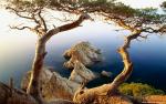 tree_192