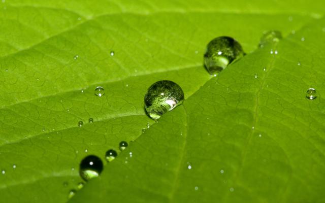 green_027
