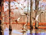 Birds_125