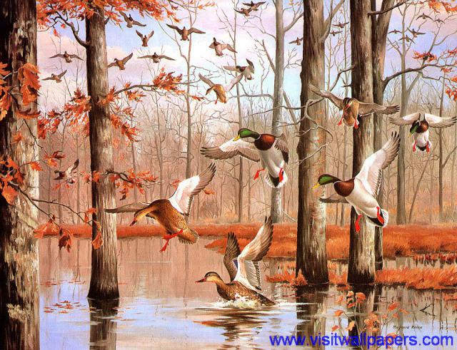 Birds_125