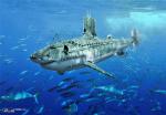 shark-sub