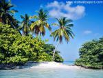 oceans_105