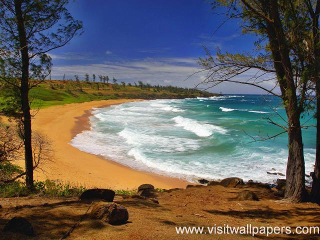 oceans_109