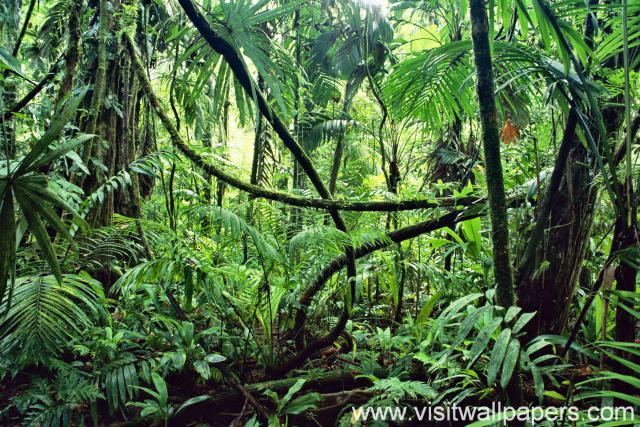 green_030