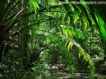 green_031