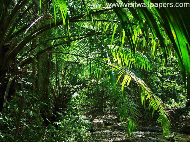 green_031