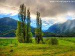 New_Zealand_041