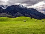 New_Zealand_042