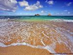 oceans_116