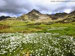 Parks_151