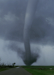 Twister