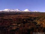 New_Zealand_072