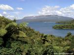 New_Zealand_075