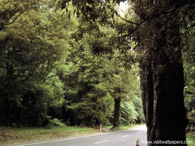 New_Zealand_082
