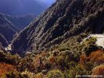 New_Zealand_101