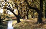 New_Zealand_107