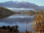 New_Zealand_117