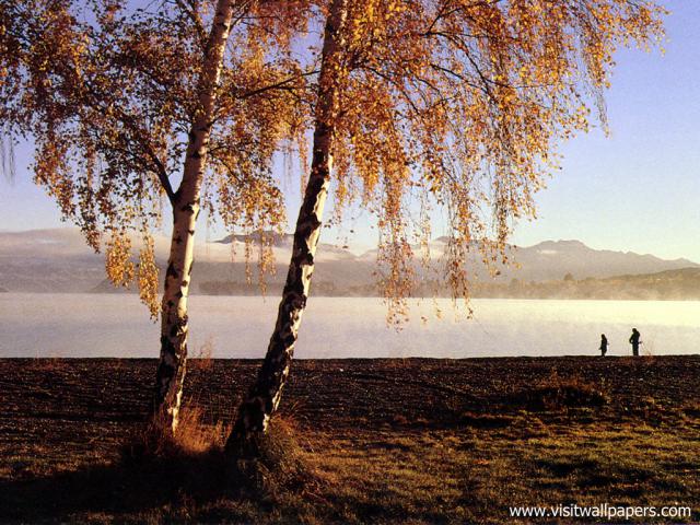 New_Zealand_125