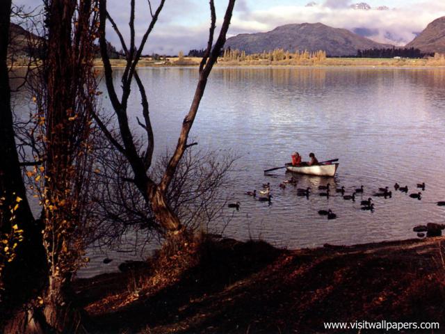 New_Zealand_127