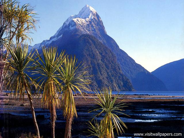 New_Zealand_131