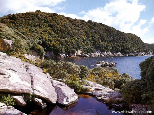 New_Zealand_133