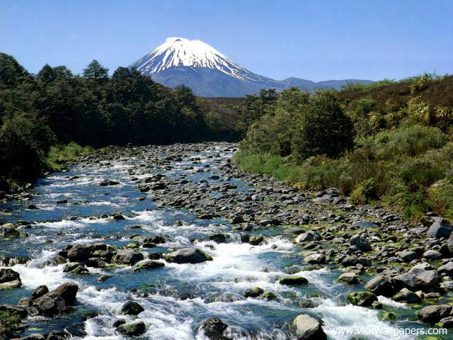 New_Zealand_138