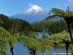 New_Zealand_143