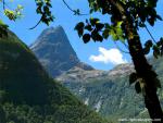 New_Zealand_145