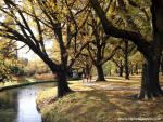 New_Zealand_147