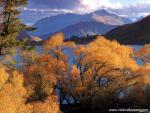 New_Zealand_154