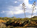 africa_051