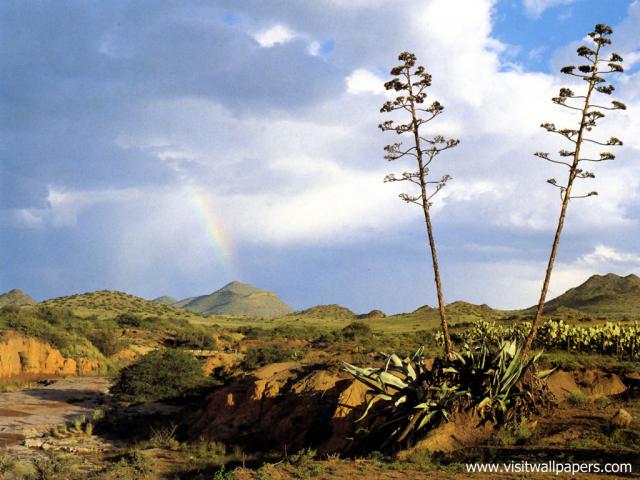 africa_051