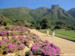 africa_056
