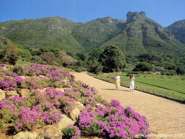 africa_056