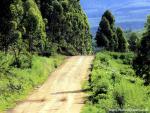 africa_063