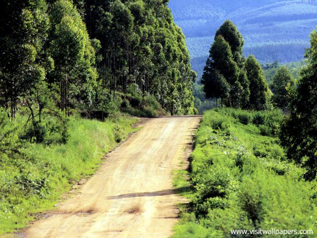 africa_063
