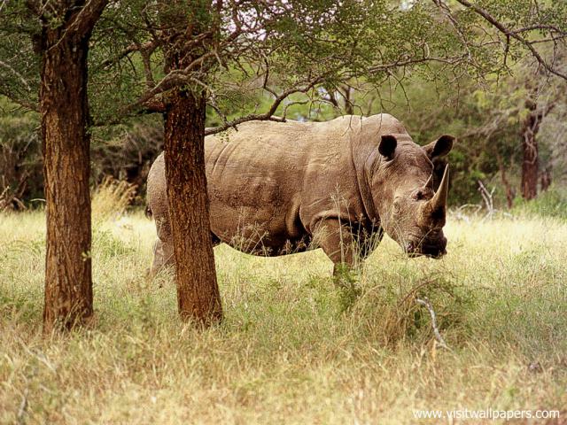 africa_072