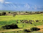 africa_076