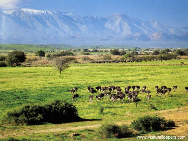 africa_076