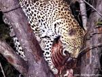 africa_092