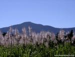 Australia_127
