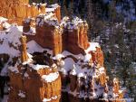 Aerial_view_276