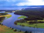 Aerial_view_278