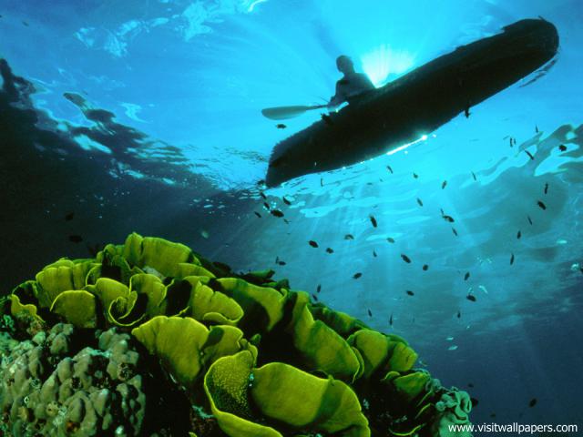 Kayaking_08