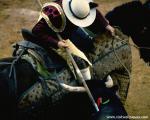 bullfight_02
