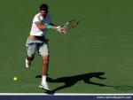 Juan_Martin_del_Potro_02