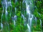waterfalls_255