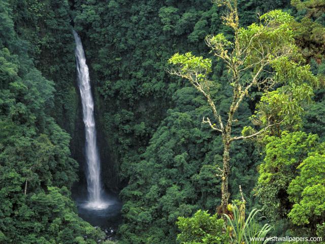 waterfalls_269
