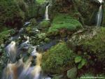 waterfalls_283