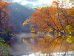 river_114